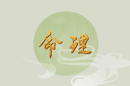 紫星命盘_天机文墨紫微斗数_紫微运势_专业命盘_八字命宫吉凶排盘